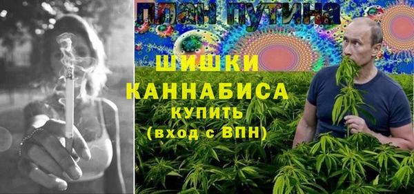 дмт Арсеньев