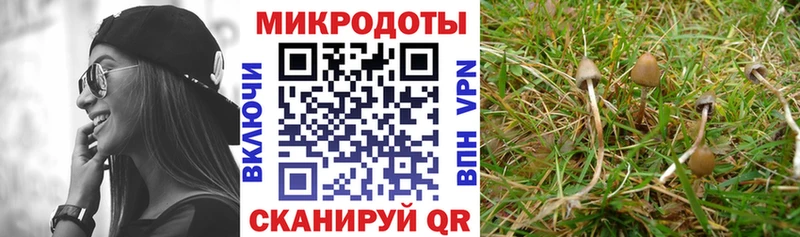ссылка на мегу как войти как найти закладки Облучье Галлюциногенные грибы прущие грибы